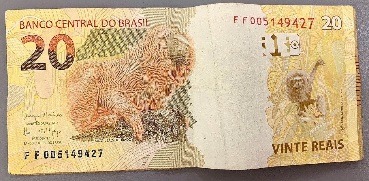 Cédula de R$ 20, com a imagem do lobo-guará